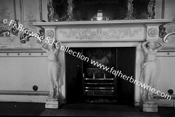 BALLYFIN HOUSE FIREPLACE IN BALLROOM